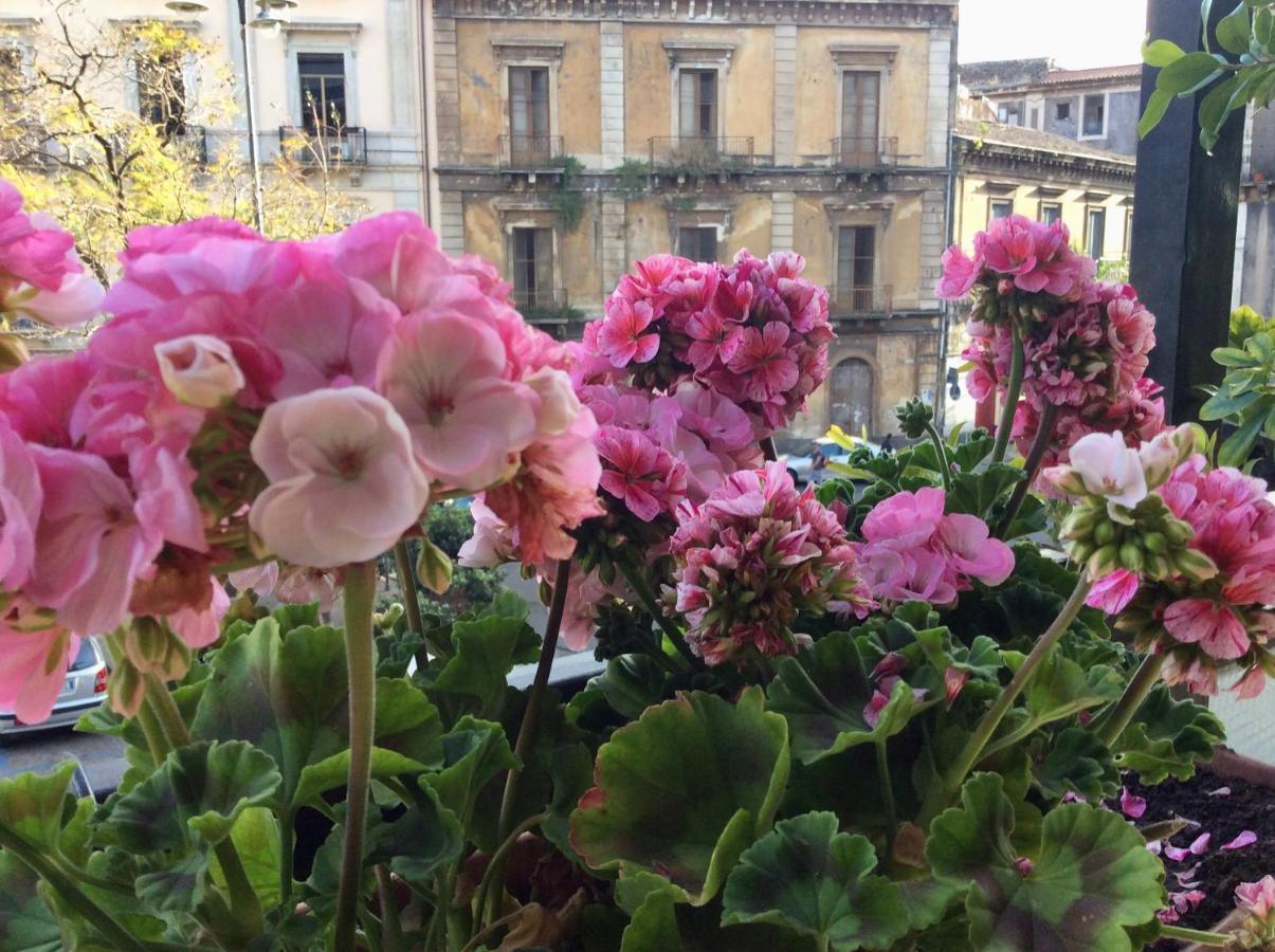 קטאניה Cesare'S Home מראה חיצוני תמונה
